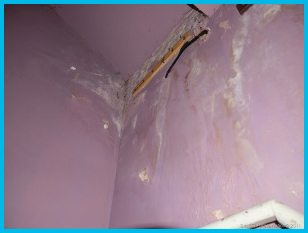 prevent-penetrating-damp Interior wall effected by penetrating damp