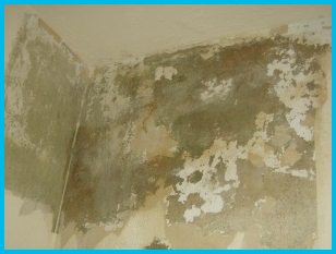 stop-penetrating-damp interior wall showing the effects of penetrating damp if not dealt with